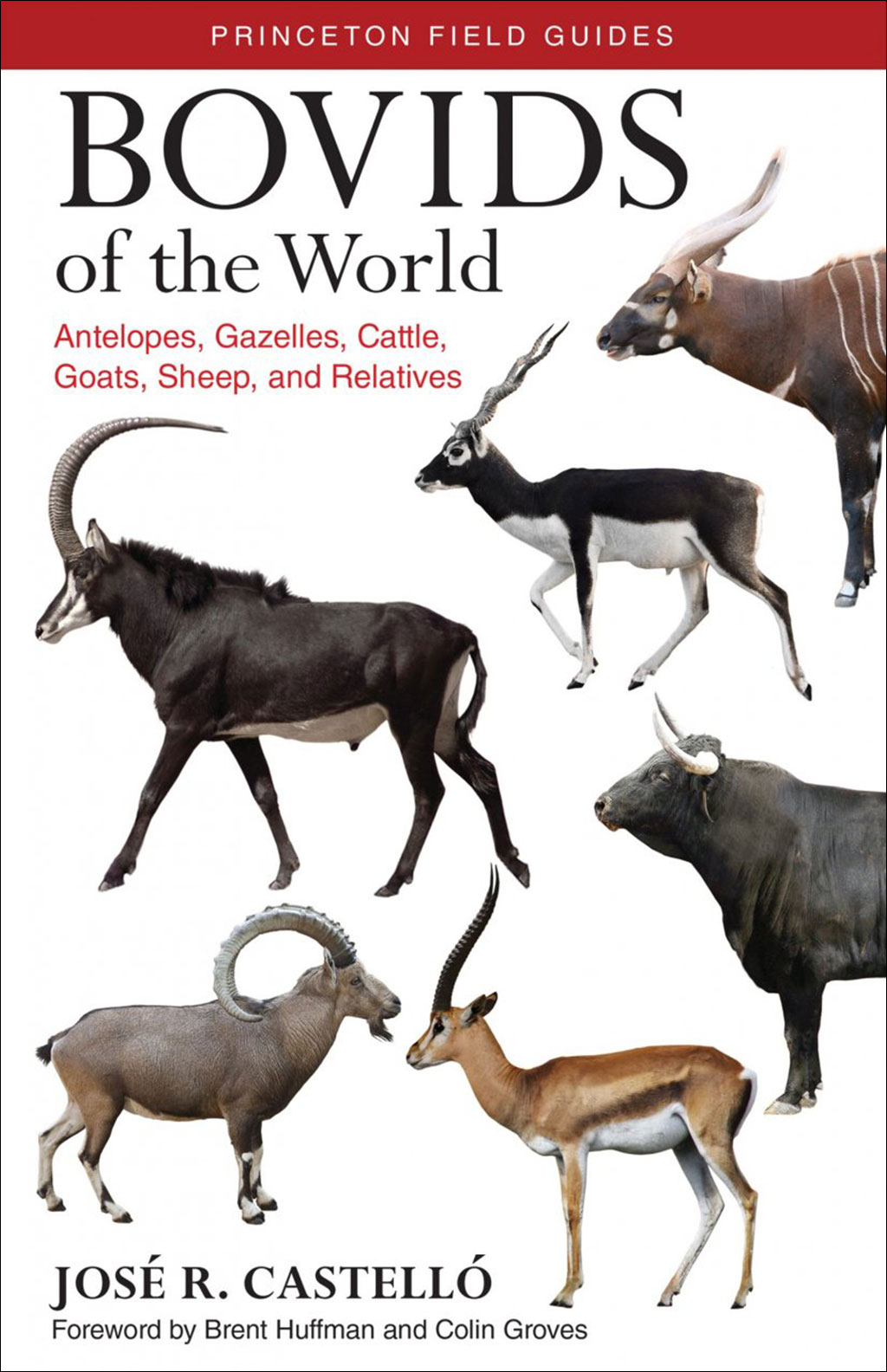 BOVIDS OF THE WORLD. ANTELOPES, GAZELLES, CATTLE, GOATS, SHEEP AND RELATIVES 1