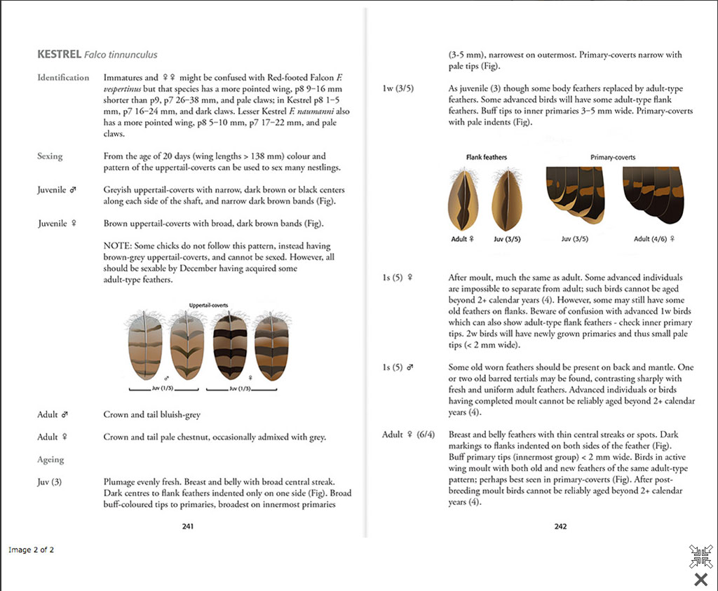 IDENTIFICATION OF EUROPEAN NON-PASSERINES 3
