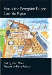 HORUS THE PEREGRINE FALCON. CATCH THE PIGEON 1