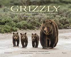 GRIZZLY. THE BEARS OF GREATER YELLOWSTONE