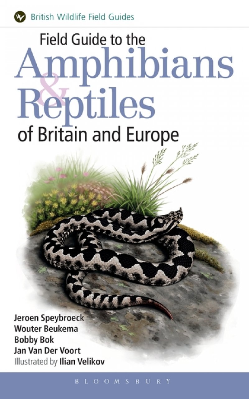 FIELD GUIDE TO THE AMPHIBIANS & REPTILES OF BRITAIN AND EUROPE