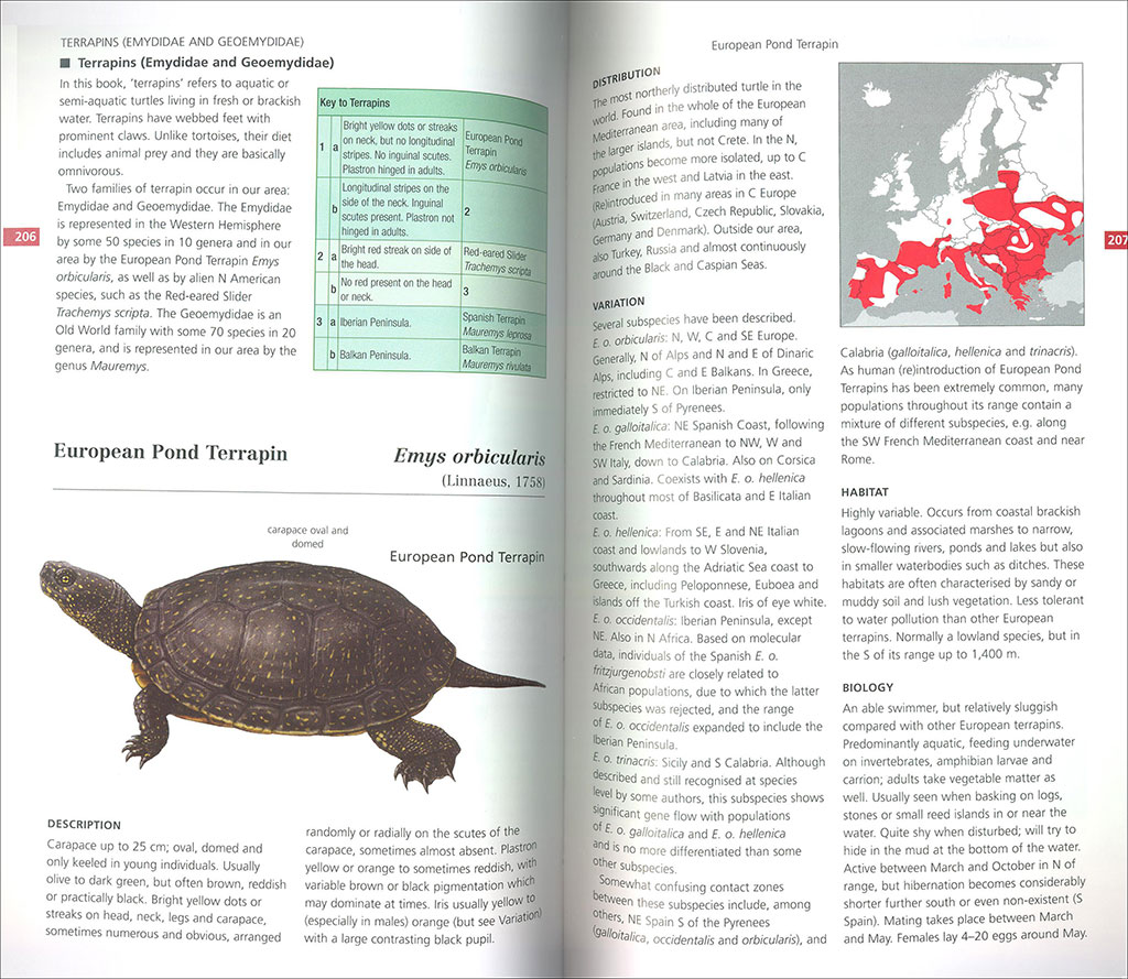 FIELD GUIDE TO THE AMPHIBIANS & REPTILES OF BRITAIN AND EUROPE 4