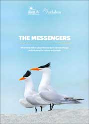 THE MESSENGERS. WHAT BIRDS TELL US ABOUT THREATS FROM CLIMATE CHANGE AND SOLUTIONS FOR NATURE AND PEOPLE