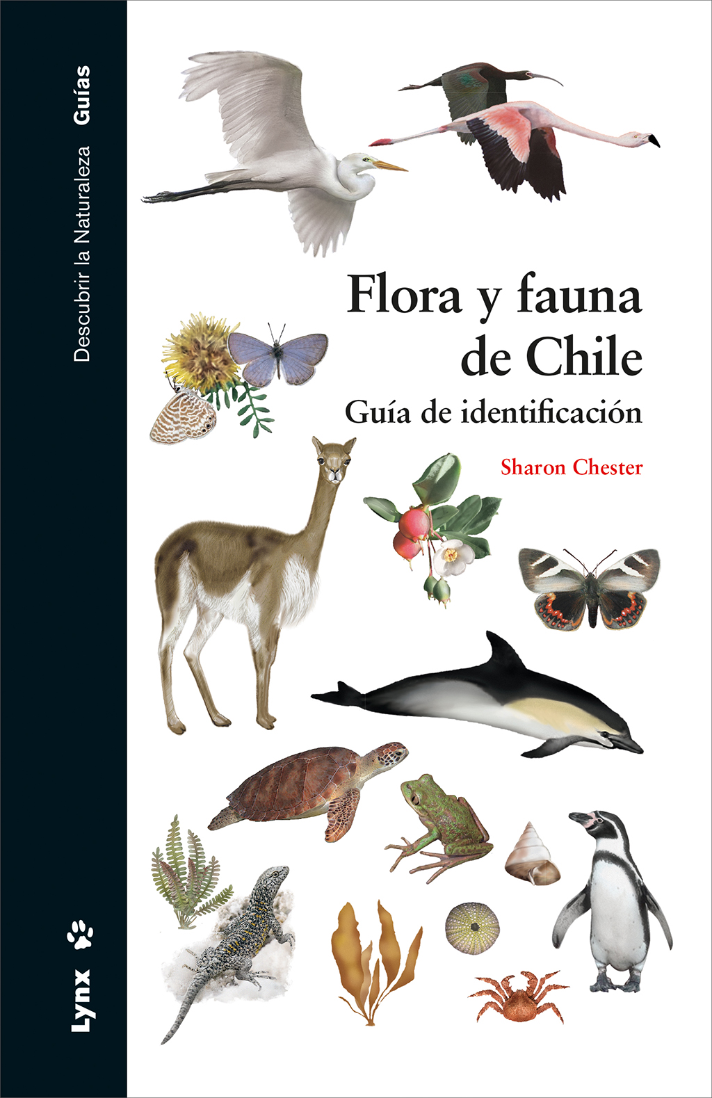 FLORA Y FAUNA DE CHILE. GUÍA DE IDENTIFICACIÓN 1