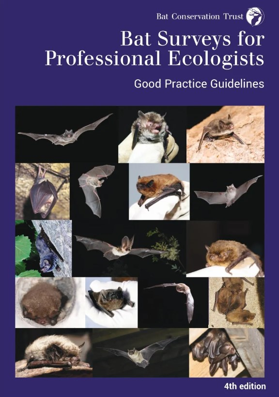 BAT SURVEYS FOR PROFESSIONAL ECOLOGISTS: GOOD PRACTICE GUIDELINES 1