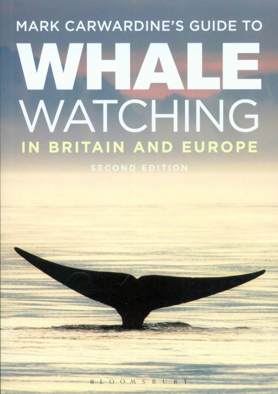 MARK CARWARDINE'S GUIDE TO WHALE WATCHING IN BRITAIN AND EUROPE 1