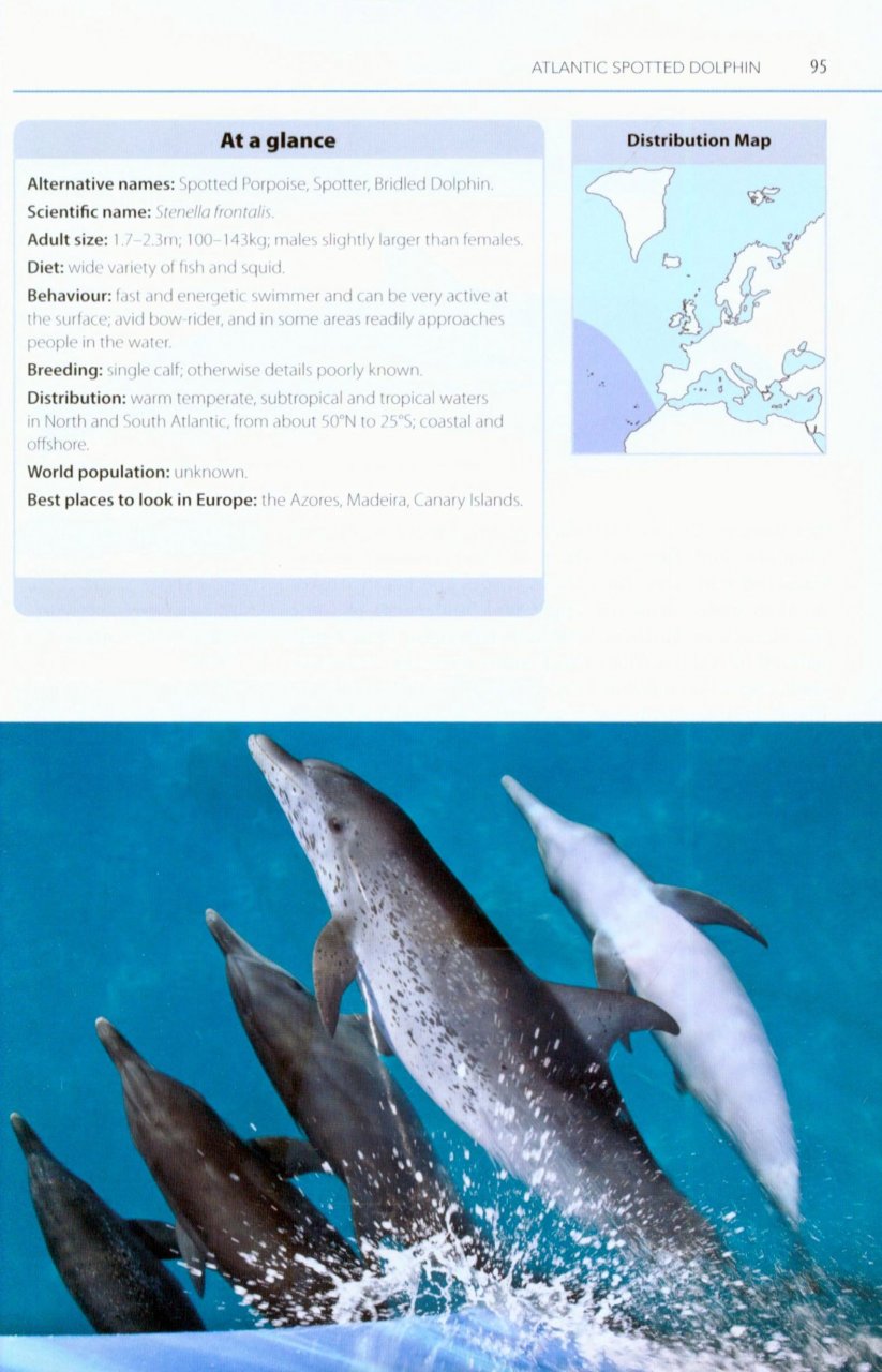MARK CARWARDINE'S GUIDE TO WHALE WATCHING IN BRITAIN AND EUROPE 5