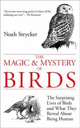 THE MAGIC & MYSTERY OF BIRDS: THE SURPRISING LIVES OF BIRDS AND WHAT THEY REVEAL ABOUT BEING HUMAN