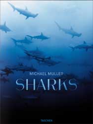 SHARKS. FACE-TO-FACE WITH THE OCEAN'S ENDANGERED PREDATOR 1