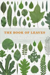 THE BOOK OF LEAVES. A LEAF-BY-LEAF GUIDE TO SIX HUNDRED OF THE WORLD'S GREAT TREES 1