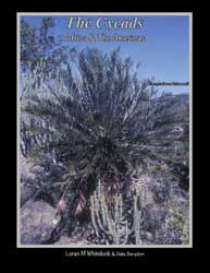 THE CYCADS, VOLUME 2: AFRICA & THE AMERICAS