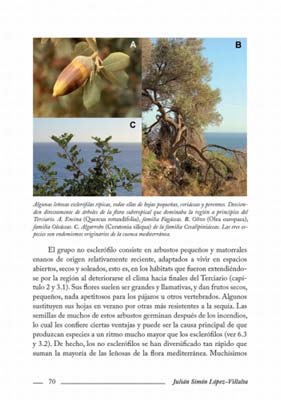 EL MONTE MEDITERRÁNEO. UNA GUÍA PARA NATURALISTAS 4
