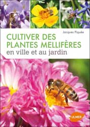 CULTIVER DES PLANTES MELLIFÈRES EN VILLE ET AU JARDIN 1