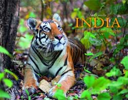 INDIA. LAND OF TIGERS AND TEMPLES