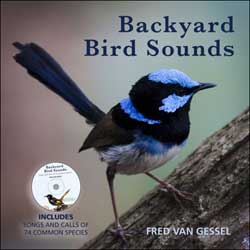 BACKYARD BIRD SOUNDS