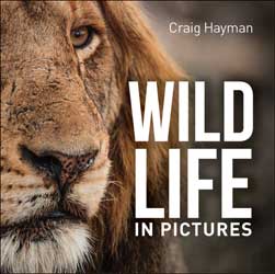 WILDLIFE IN PICTURES 1