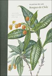 PLANTAS DE LOS BOSQUES DE CHILE