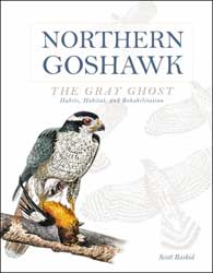NORTHERN GOSHAWK. THE GRAY GHOST

HABITS, HABITAT AND REHABILITATION 1