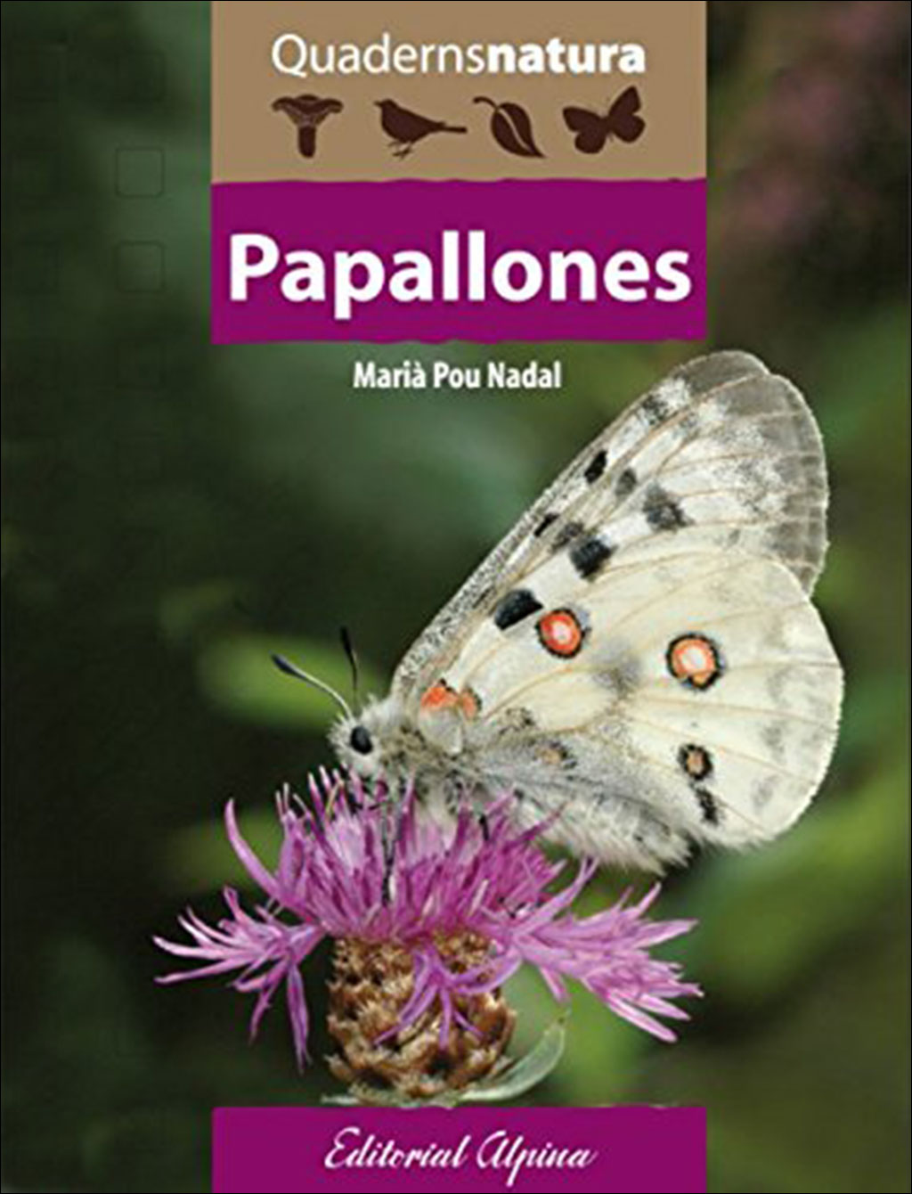 PAPALLONES. QUADERNS NATURA