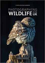 PHOTOGRAPHING WILDLIFE IN THE UK: WHERE AND HOW TO TAKE GREAT WILDLIFE PHOTOGRAPHS 1