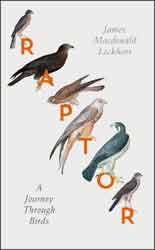 RAPTOR: A JOURNEY THROUGH BIRDS 1