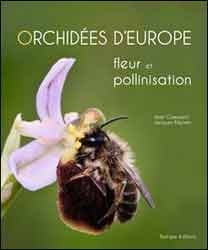 ORCHIDÉES D'EUROPE FLEUR ET POLLINISATION 2