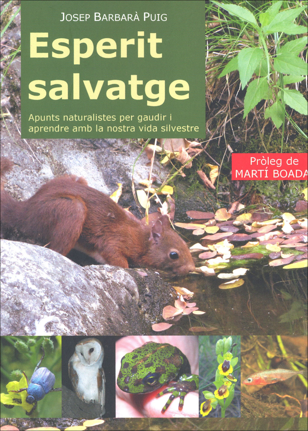 ESPERIT SALVATGE. APUNTS NATURALISTES PER GAUDIR I APRENDRE AMB LA NOSTRA VIDA SILVESTRE 1