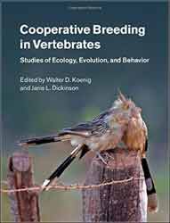 COOPERATIVE BREEDING IN VERTEBRATES. STUDIES OF ECOLOGY, EVOLUTION, AND BEHAVIOUR 1