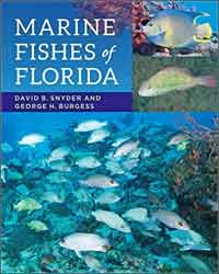MARINE FISHES OF FLORIDA 1