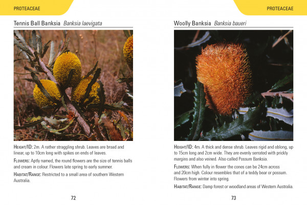 REED CONCISE GUIDE. WILDFLOWERS OF AUSTRALIA 2