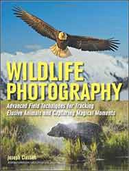 WILDLIFE PHOTOGRAPHY. ADVANCED FIELD TECHNIQUES FOR TRACKING ELUSIVE ANIMALS AND CAPTURING MAGICAL MOMENTS