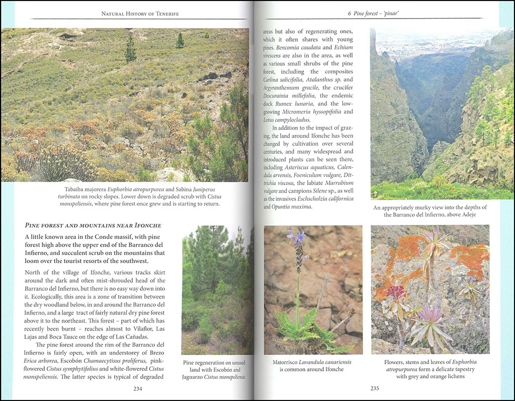 NATURAL HISTORY OF TENERIFE 3