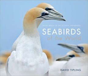 SEABIRDS OF THE WORLD. SECRET REALM OF THE OCEANS' WANDERERS 1