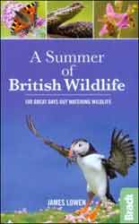 A SUMMER OF BRITISH WILDLIFE. 100 GREAT DAYS OU WATCHING WILDLIFE