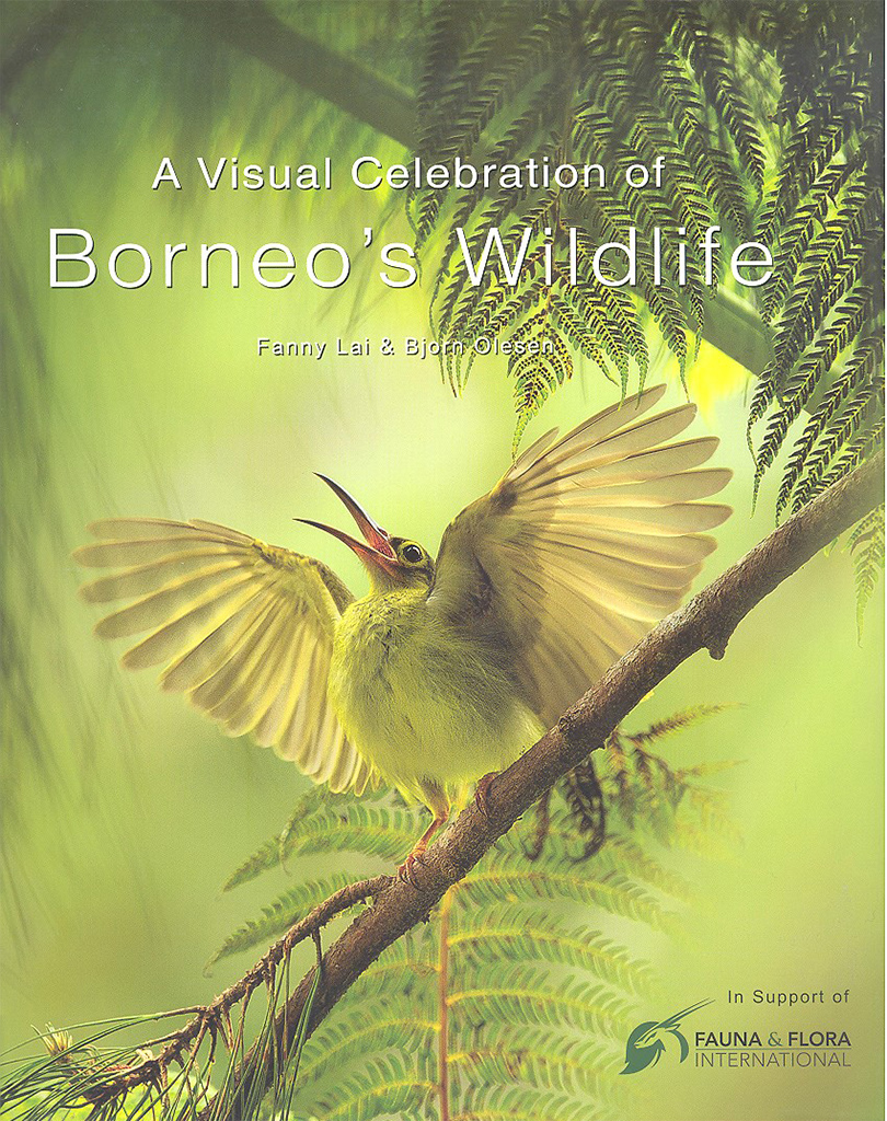 A VISUAL CELEBRATION OF BORNEO'S WILDLIFE