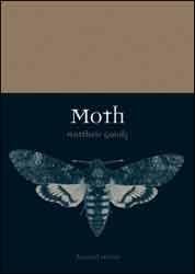 MOTH