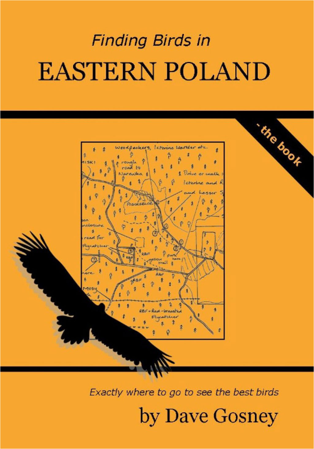 FINDING BIRDS IN EASTERN POLAND