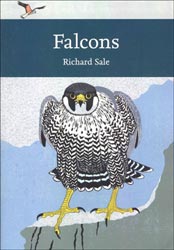 FALCONS 1