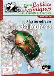 À LA RENCONTRE DES COLÉOPTÈRES 2