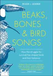 BEAKS, BONES, AND BIRD SONGS 1