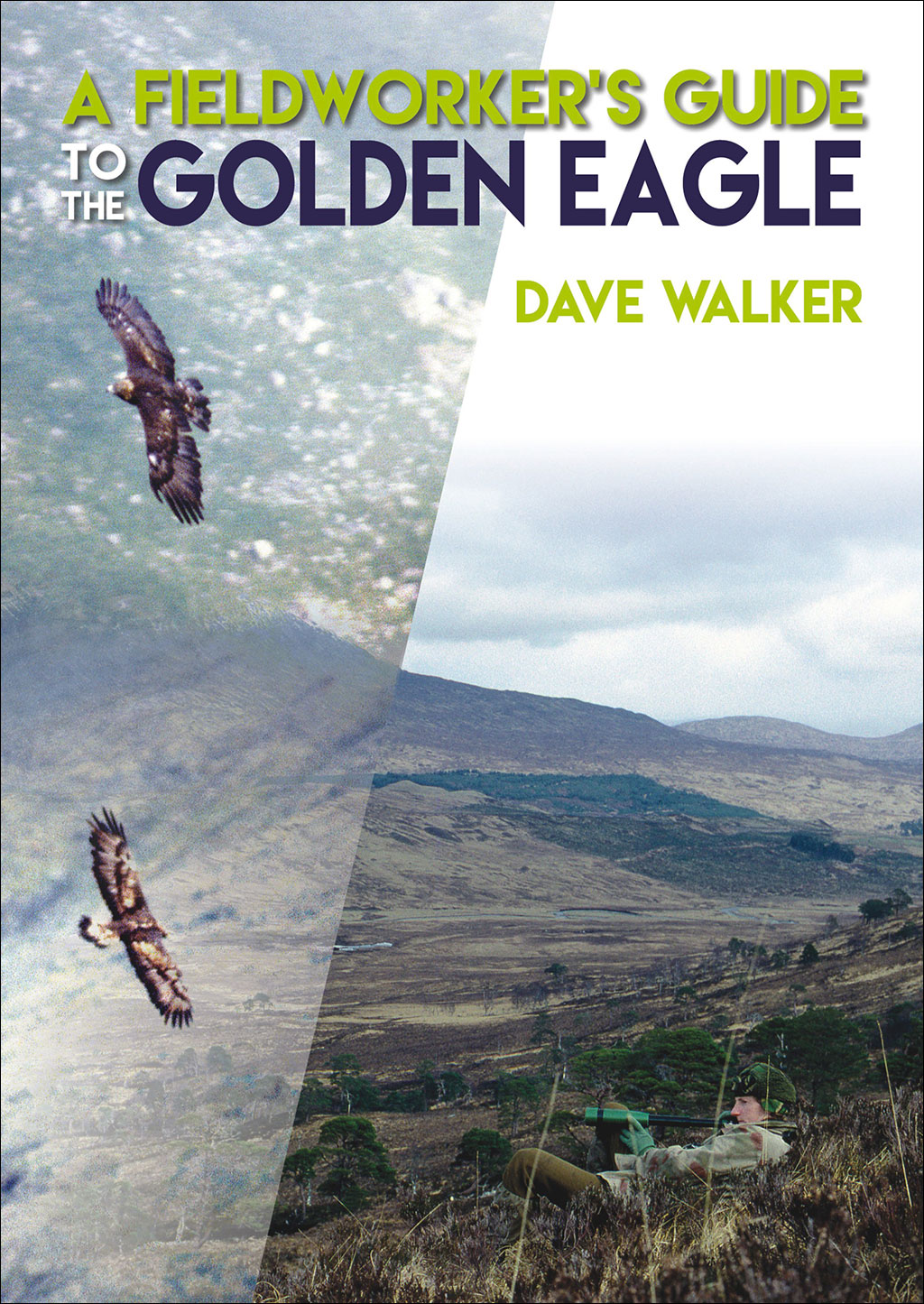 A FIELDWORKER'S GUIDE TO THE GOLDEN EAGLE