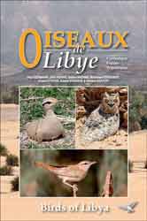 BIRDS OF LIBYA/OISEAUX DE LIBYE 1