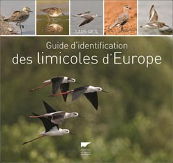 GUIDE D'IDENTIFICATION DES LIMICOLES D'EUROPE 1