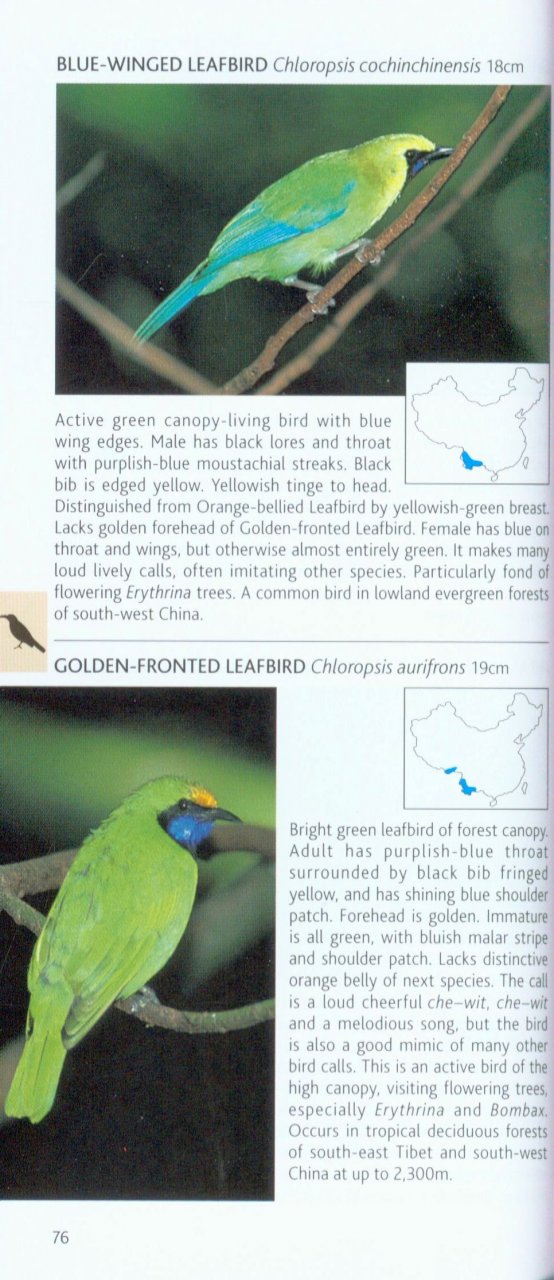 POCKET PHOTO GUIDE TO THE BIRDS OF CHINA 3