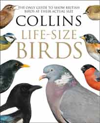 COLLINS LIFE-SIZE BIRDS. THE ONLY GUIDE TO SHOW BRITISH BIRDS AT THEIR ACTUAL SIZE