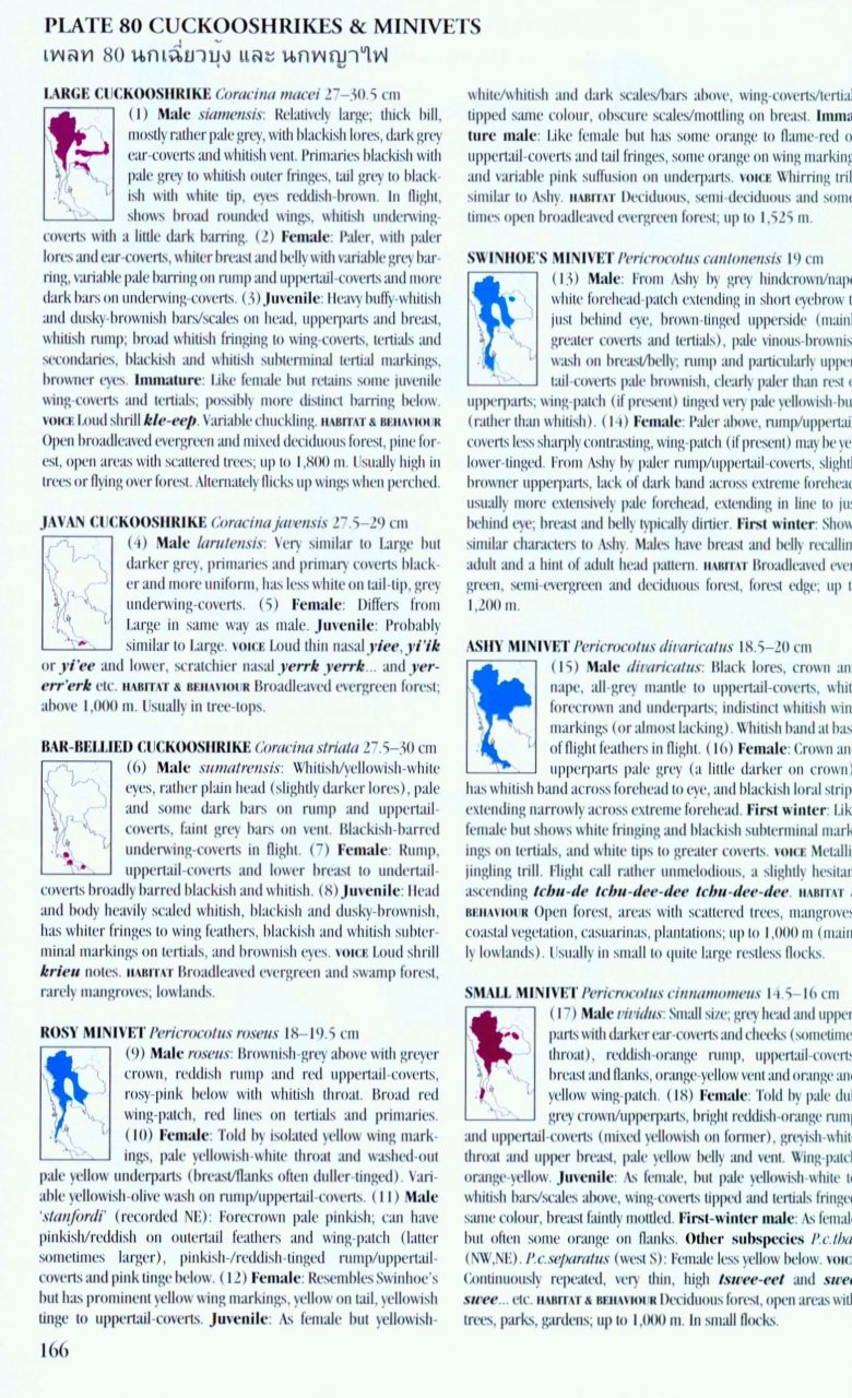 A FIELD GUIDE TO THE BIRDS OF THAILAND 3