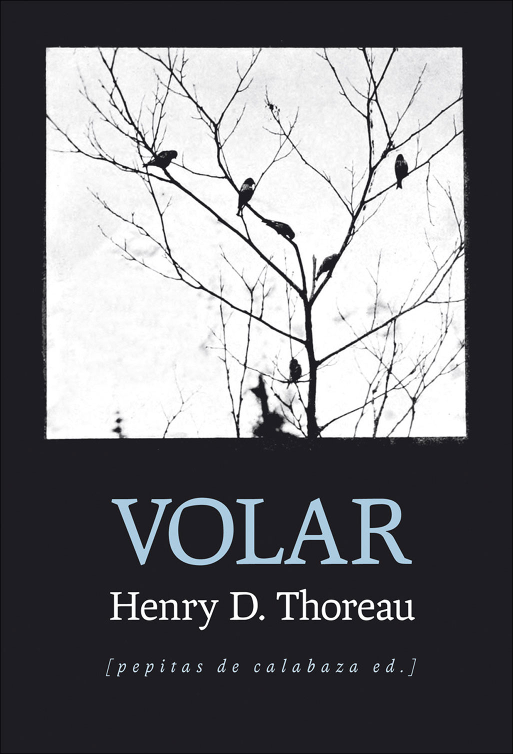 VOLAR