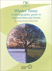 WINTER TREES: A PHOTOGRAPHIC GUIDE TO COMMON TREES AND SHRUBS
