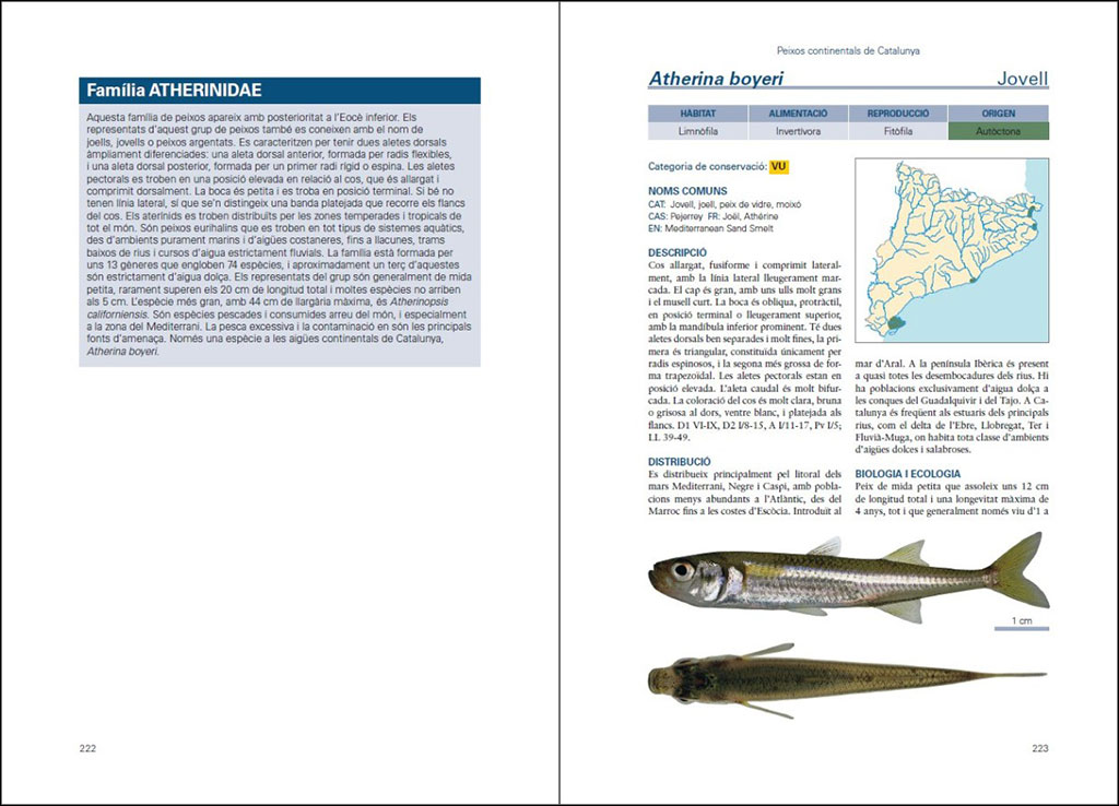 PEIXOS CONTINENTALS DE CATALUNYA. ECOLOGIA, CONSERVACIÓ I GUIA D'IDENTIFICACIÓ 2
