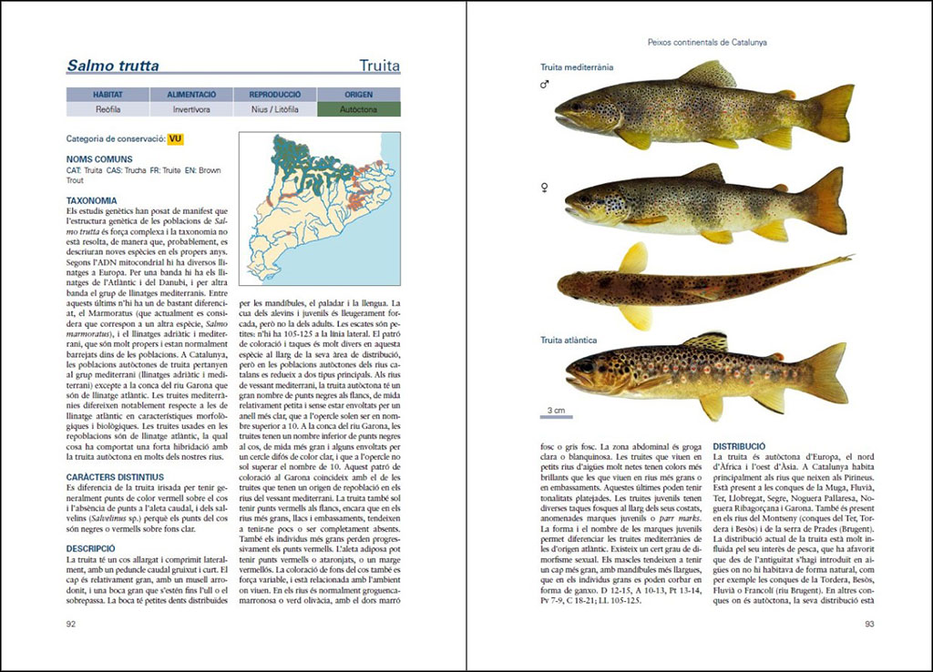 PEIXOS CONTINENTALS DE CATALUNYA. ECOLOGIA, CONSERVACIÓ I GUIA D'IDENTIFICACIÓ 3